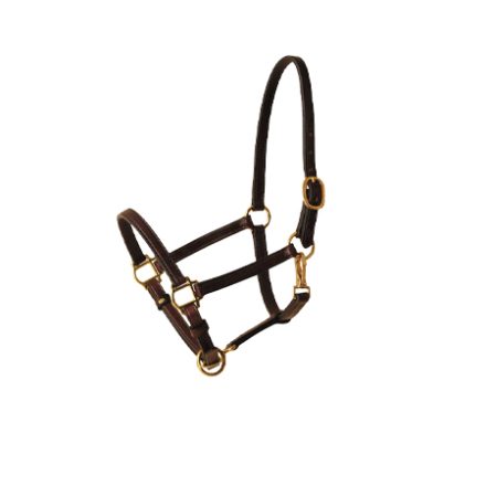 Hi-Pick Exim Shop Halter Image